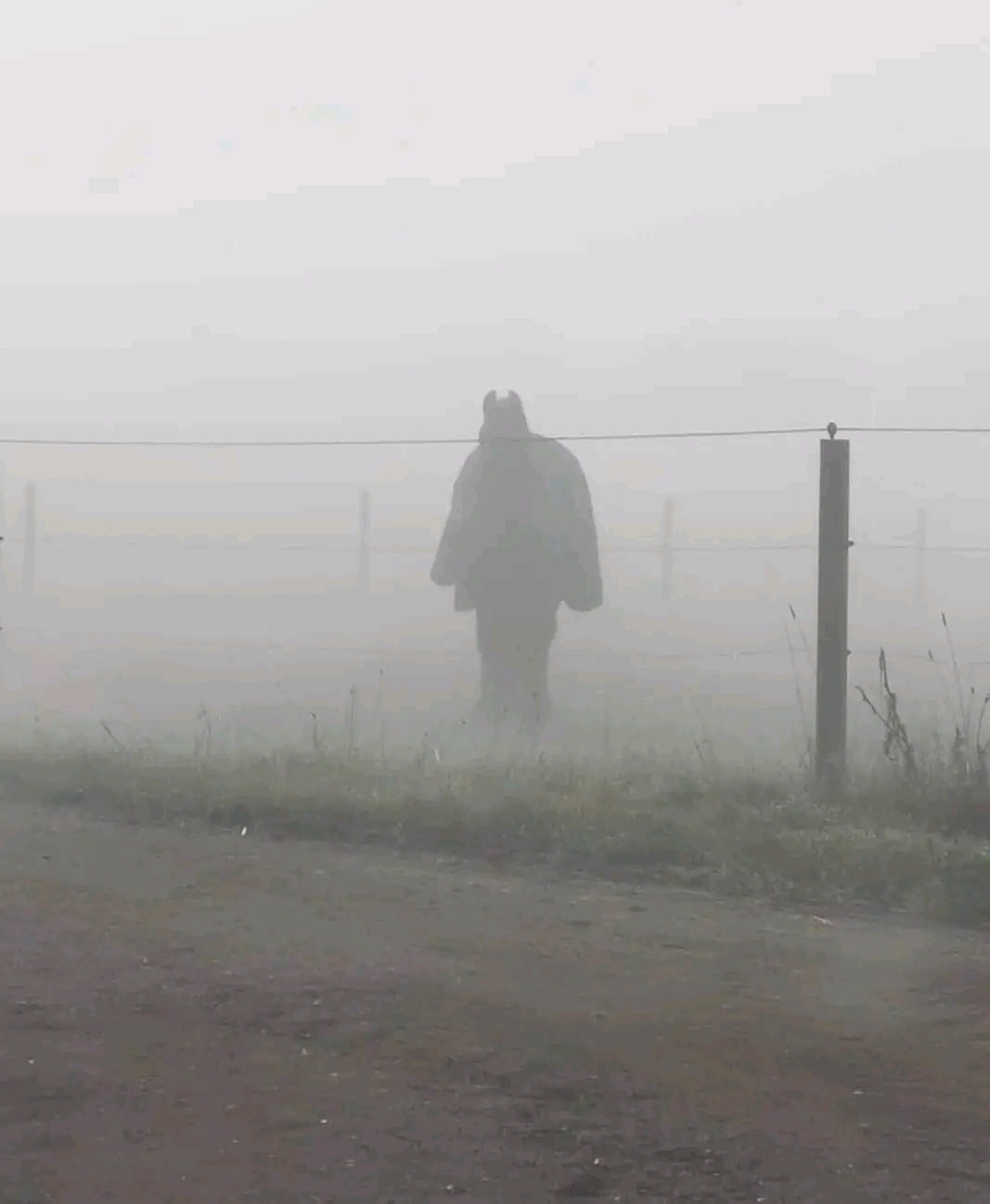 329526278_677187787537129_6796857136096661691_n.jpg