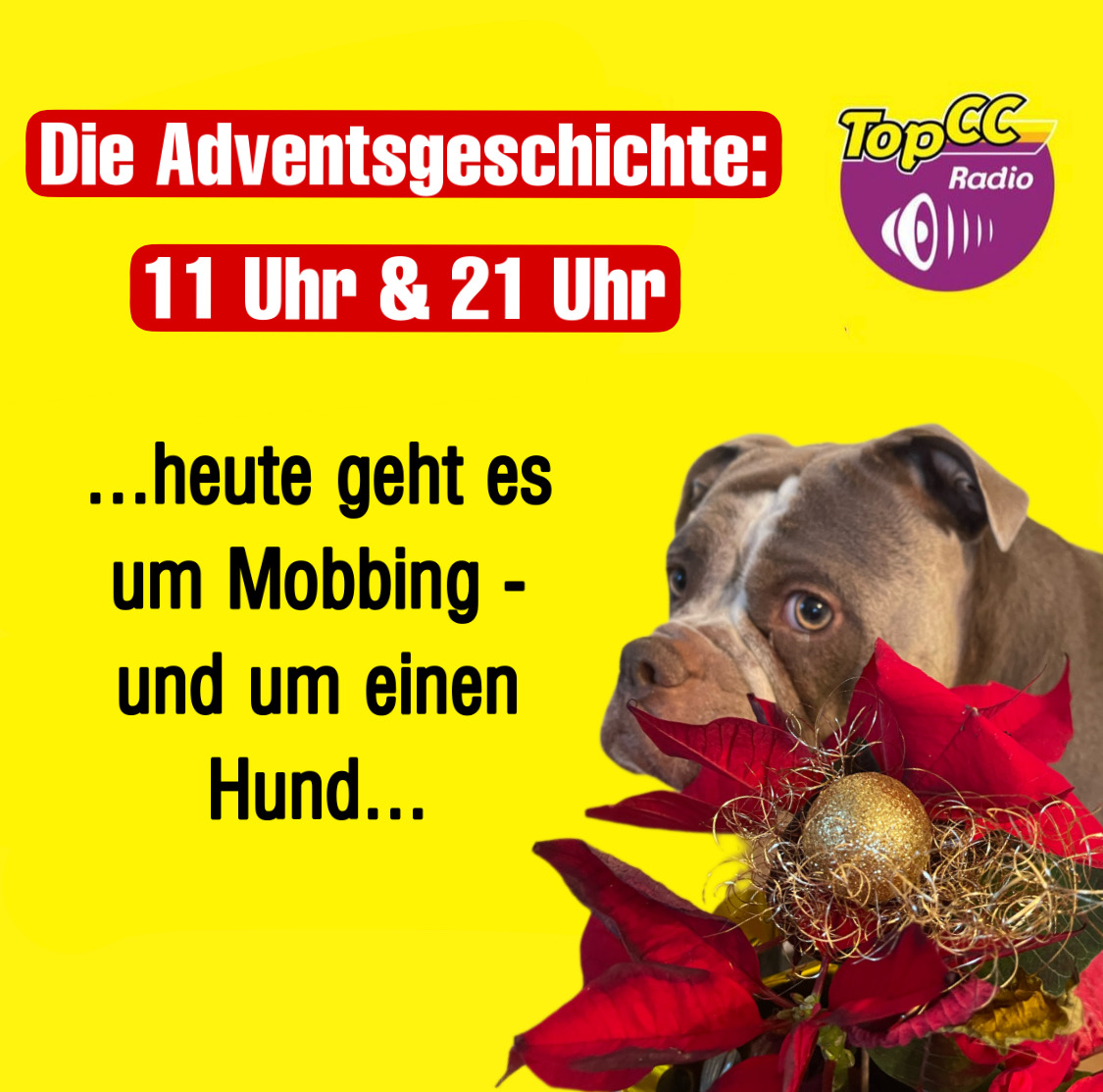 58391387-4DB3-4B10-BE8D-4D870F9646A9.jpeg