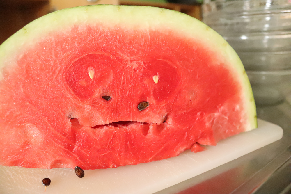 Affe Gesicht Melone.JPG