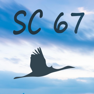 Shortie-Challenge 03/2025