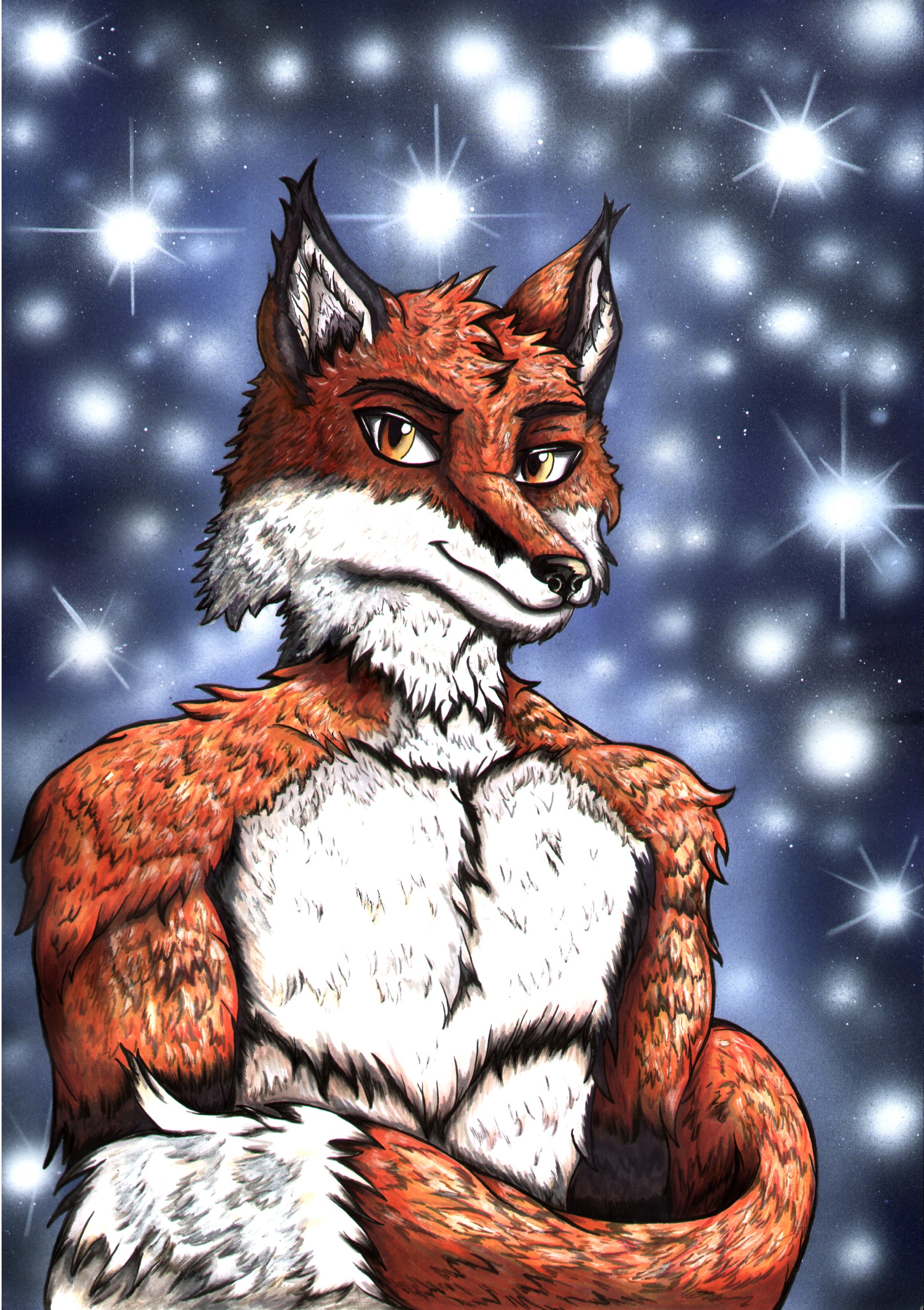 Bright Fox 2.JPG