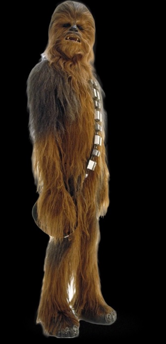 chewie.jpg