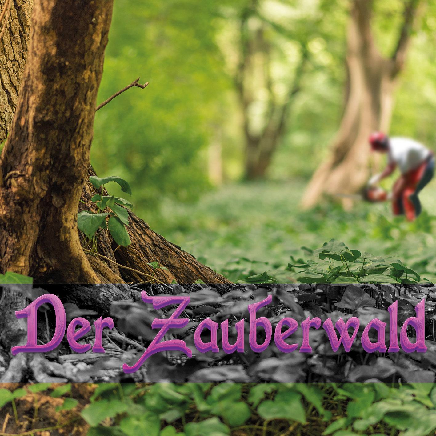 Der Zauberwald 2.jpg