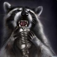 Sing Raccoon.jpg