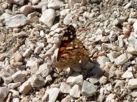 Südtirol-03.jpg