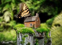 butterfly-worth1000.jpg butterfly-worth1000.jpg