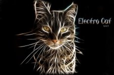 Electro-Cat.jpg