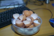 eier.jpg eier.jpg