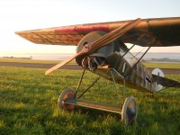 2010-09-12 auf freiem Feld 086.jpg