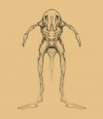 creaturesketch.jpg