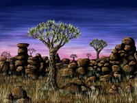 afrika8kl.jpg