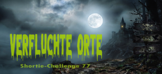 Banner_SC77.png