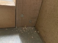 IMG_8203.jpeg