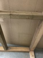 IMG_8367.jpeg