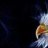 Pheonix